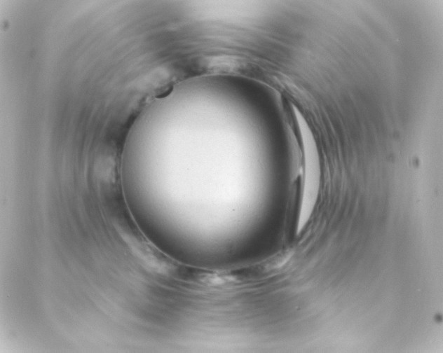 X0000088860379200706221731