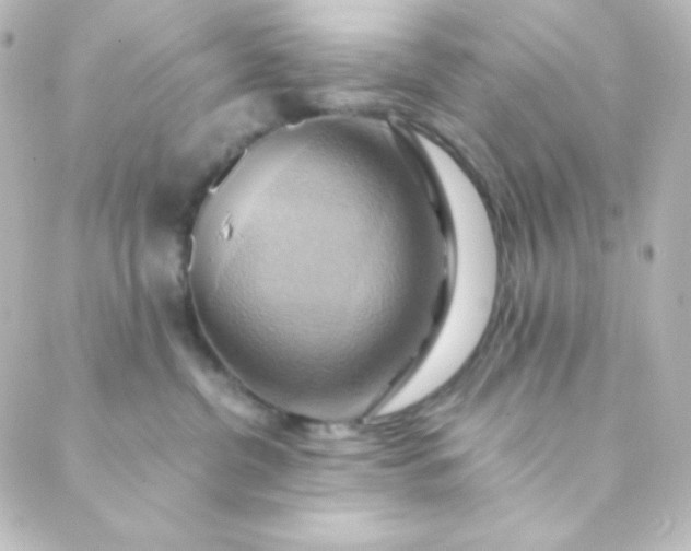 X0000088860380200706221731
