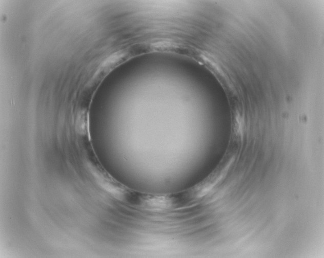 X0000088860383200706221731