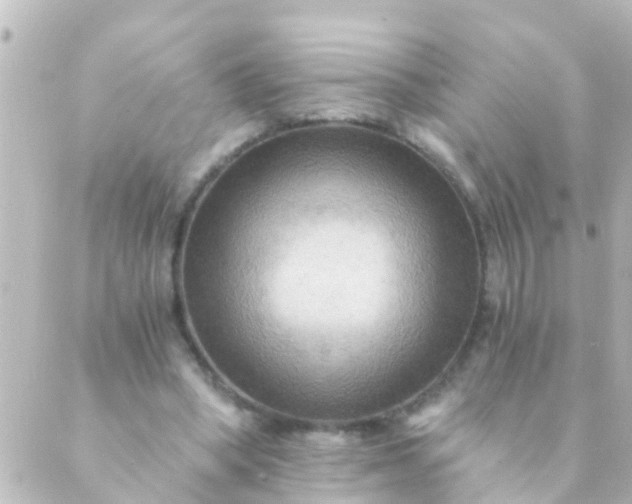 X0000088860394200706221730