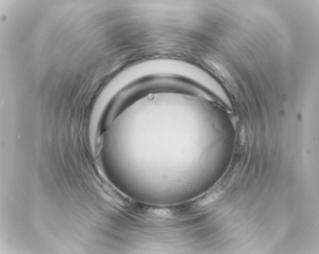 X0000088860409200706221730