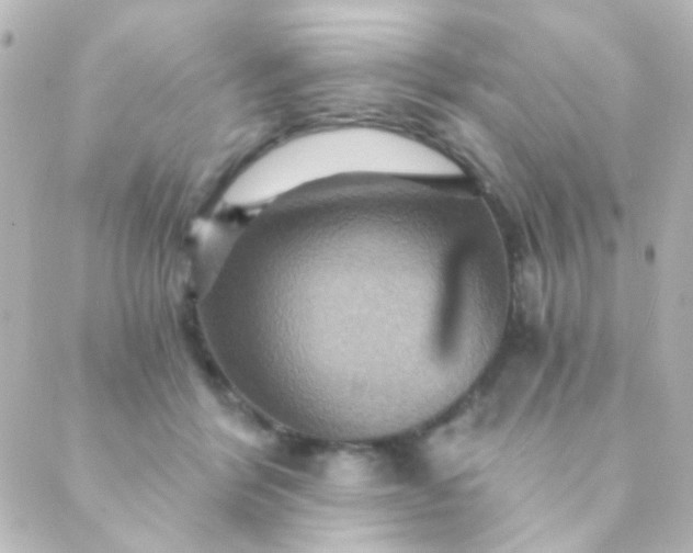 X0000088860412200706221730