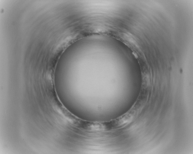 X0000088860415200706221730