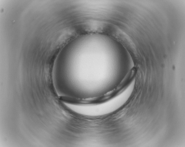 X0000088860416200706221730