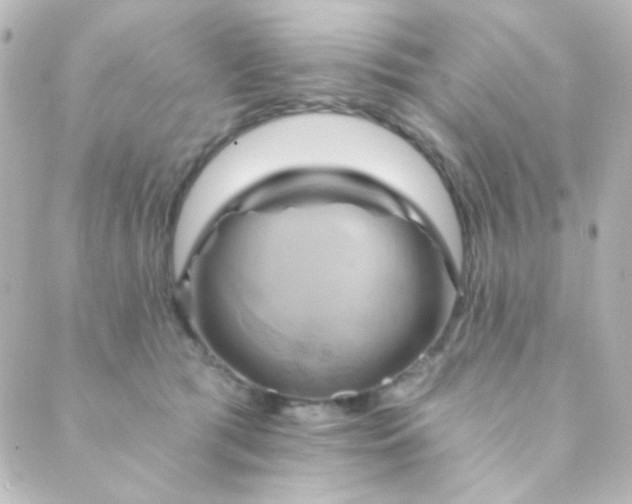 X0000088860417200706221730