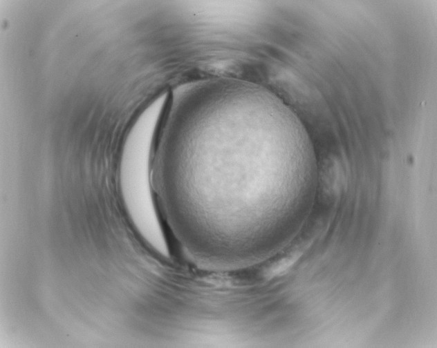 X0000088860420200706221730