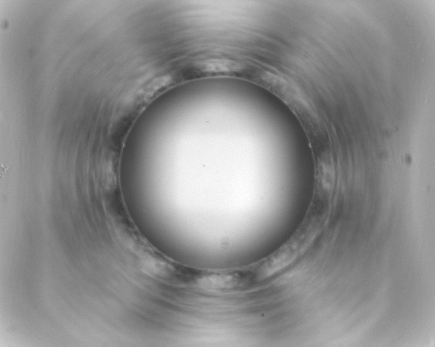 X0000088860422200706221730
