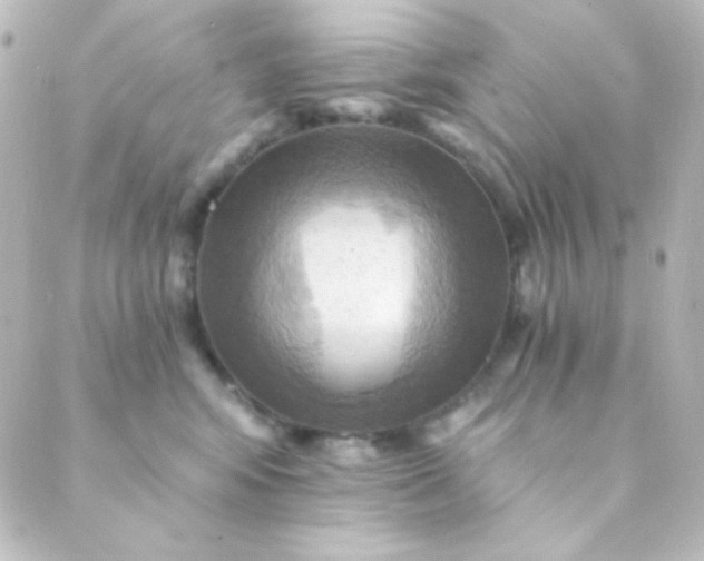 X0000088860424200706221730