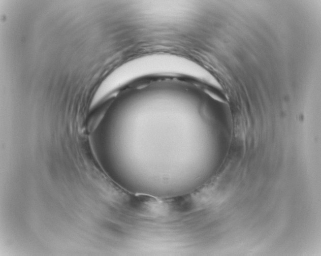 X0000088860425200706221730