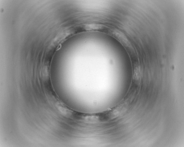 X0000088860426200706221730