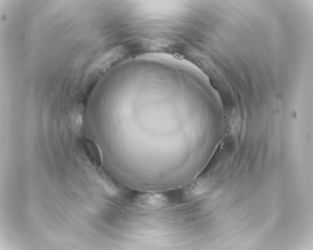X0000088860427200706221729