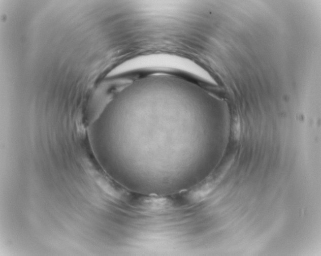X0000088860428200706221729