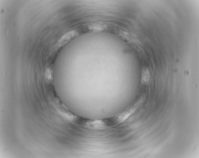 X0000088860431200706221729