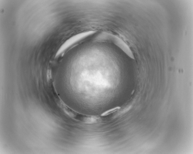 X0000088860432200706221729