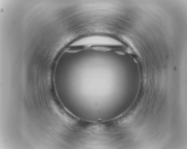 X0000088860447200706221729