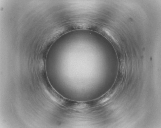 X0000088860459200706221729