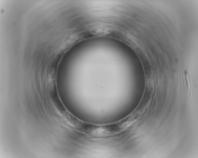 X0000088860460200706221729