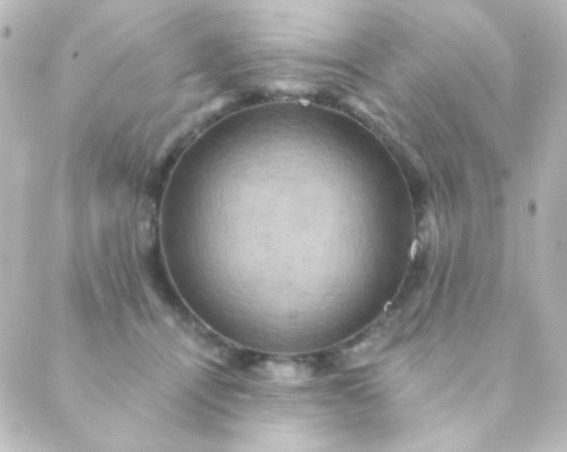 X0000088860464200706221729