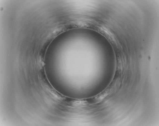X0000088860465200706221729