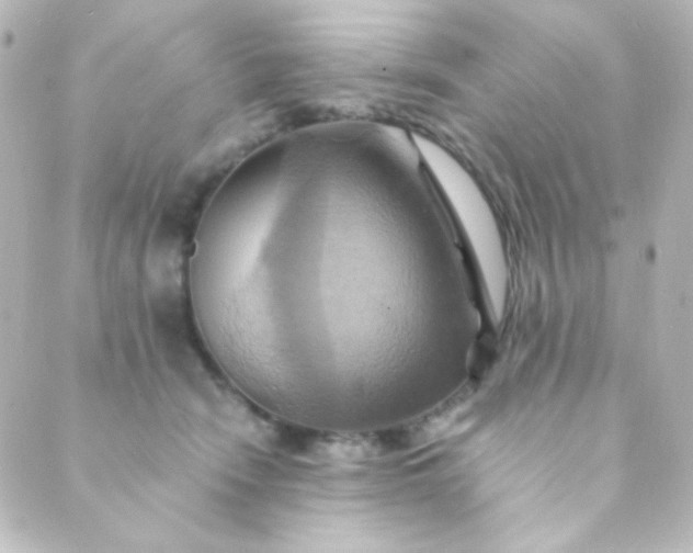 X0000088860466200706221729