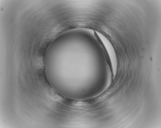X0000088860467200706221729