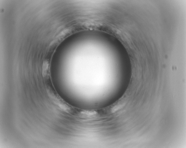 X0000088860480200706221729