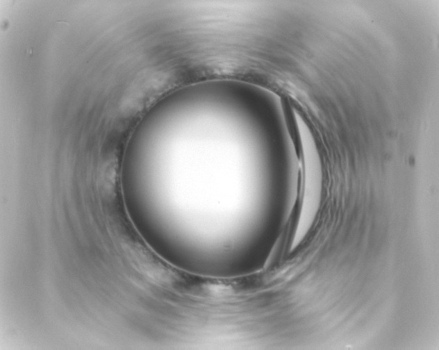 X0000088860509200706221728