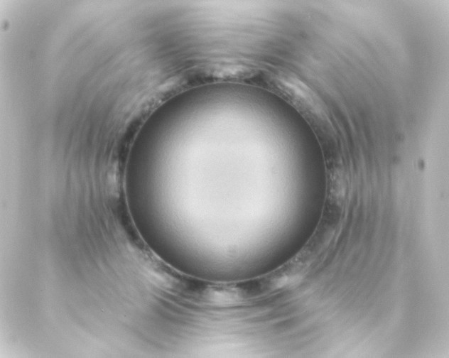X0000088860510200706221728