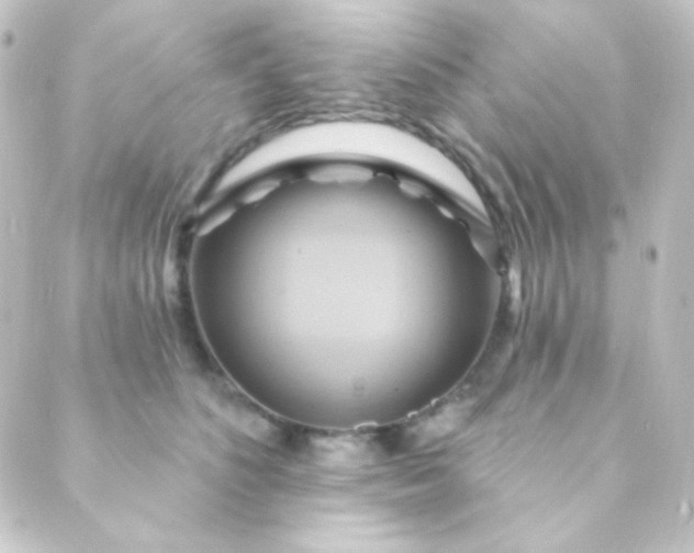 X0000088860516200706221728