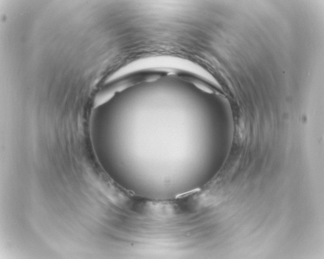 X0000088860520200706221728
