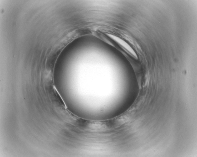 X0000088860521200706221728