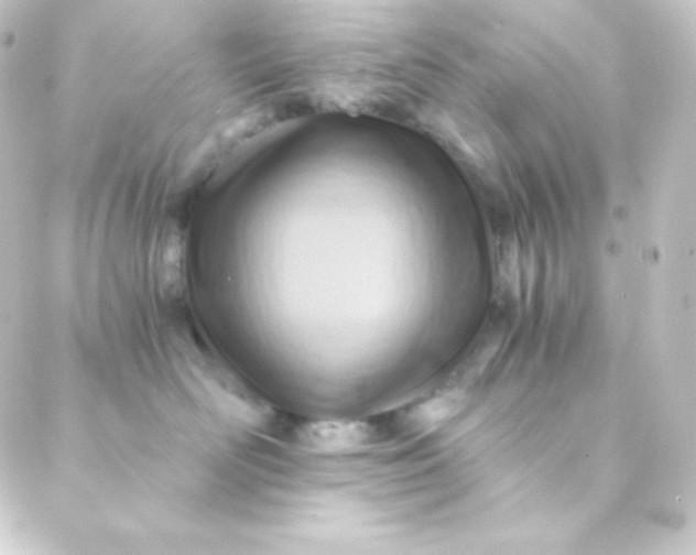 X0000088860526200706221728