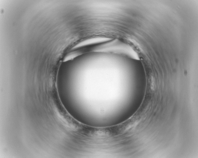 X0000088860546200706221727