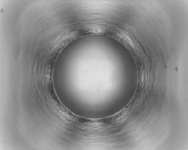 X0000088860553200706221727