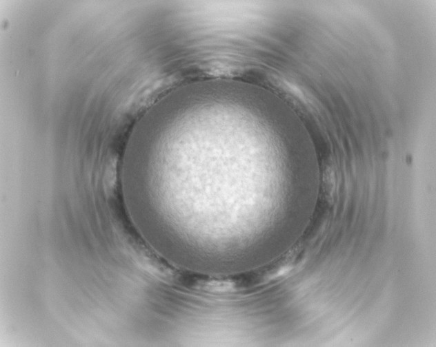 X0000088860554200706221727