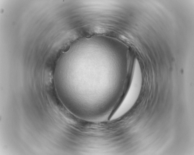 X0000088860555200706221728