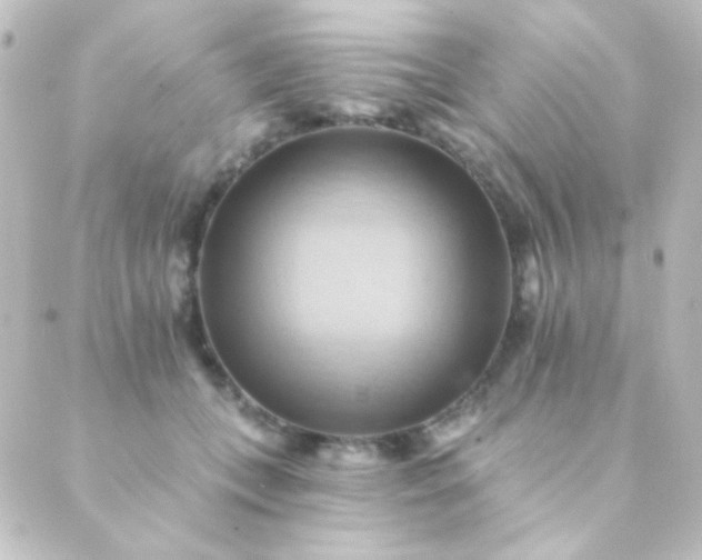 X0000088860559200706221728
