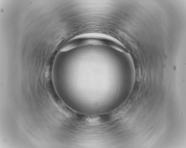 X0000088860560200706221728
