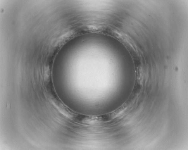 X0000088860563200706221728