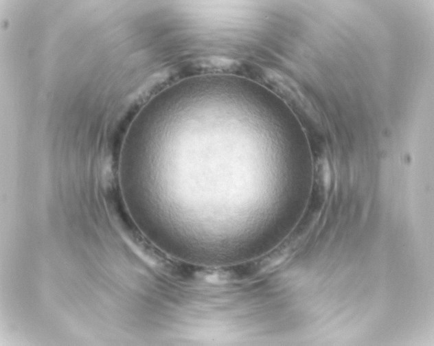 X0000088860564200706221728