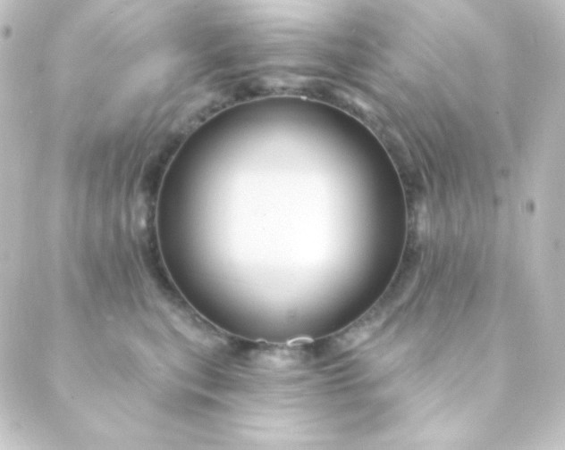 X0000088860567200706221728