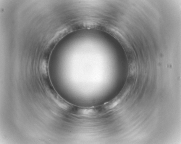 X0000088860575200706221728
