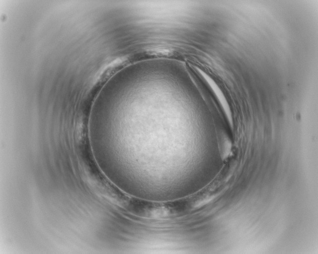 X0000088860600200706221727