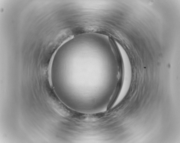 X0000088860601200706221727