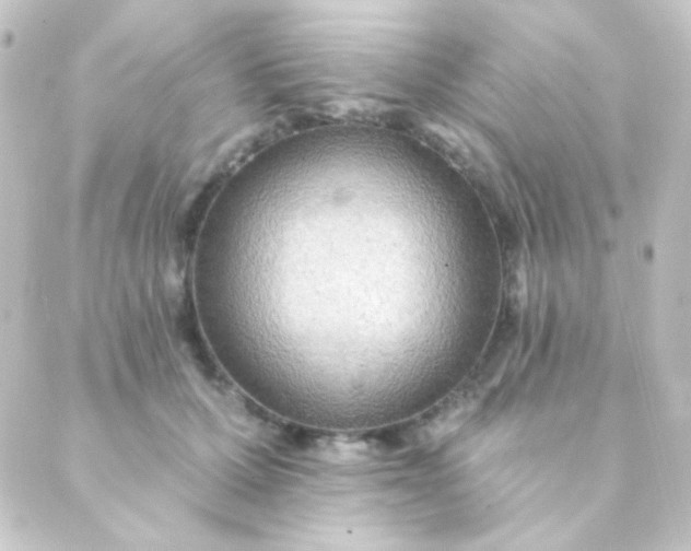 X0000088860607200706221727