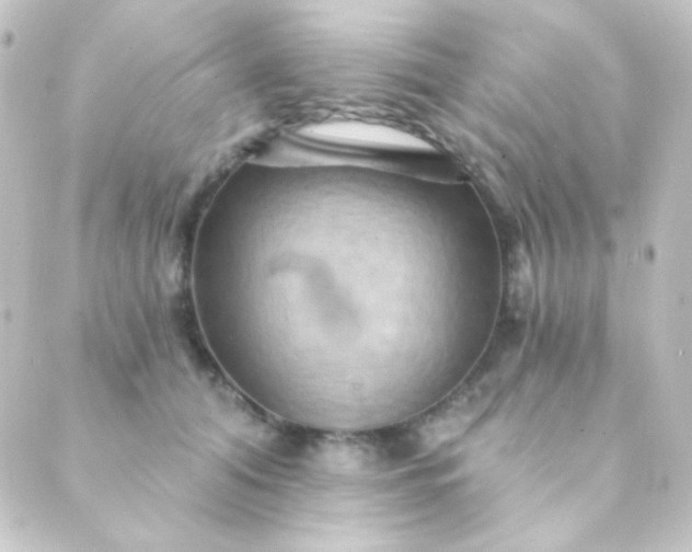 X0000088860608200706221727