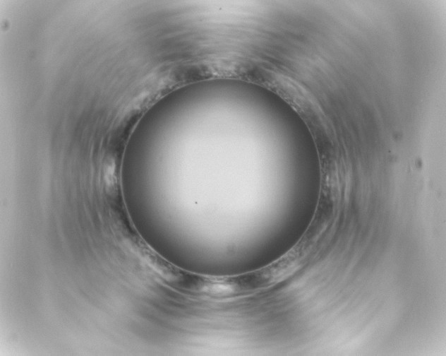X0000088860610200706221727