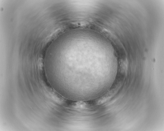 X0000088860612200706221727