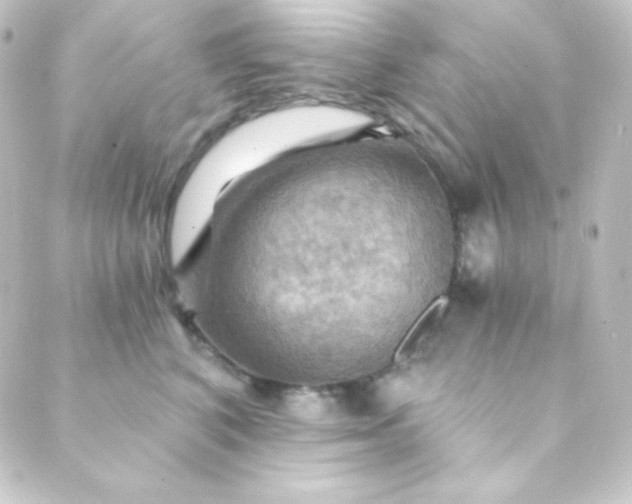 X0000088860616200706221726