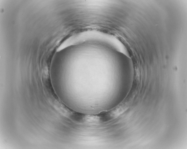 X0000088860617200706221726